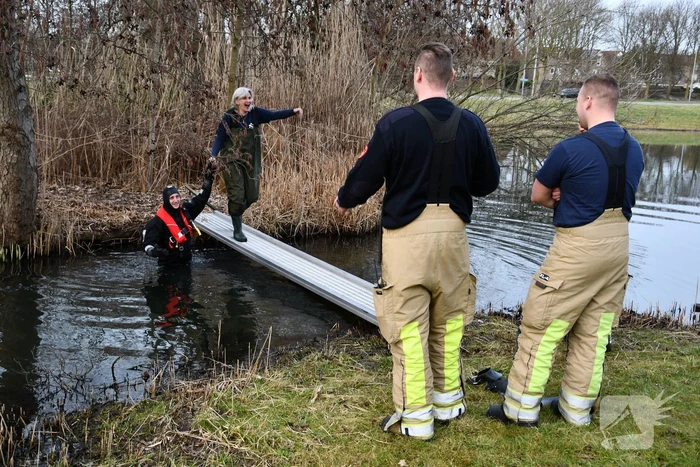 Meerkoet door brandweer gered