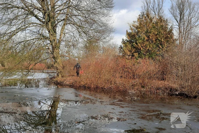 Kat van onbewoond eiland Spoolderbos gered
