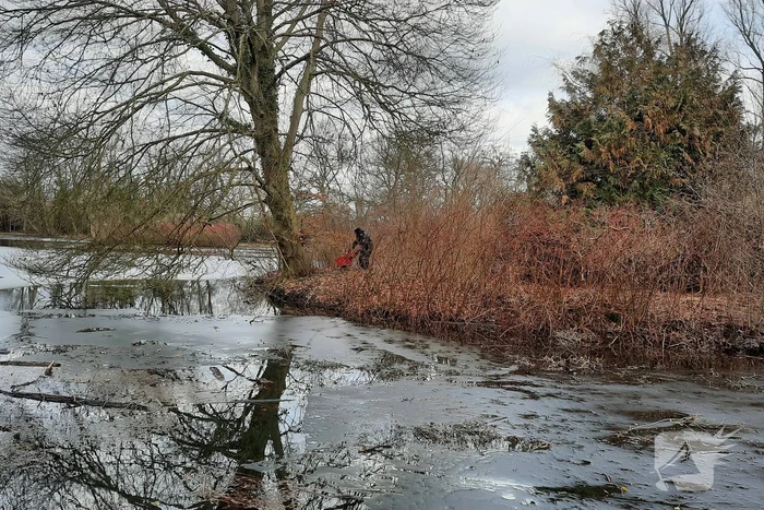 Kat van onbewoond eiland Spoolderbos gered