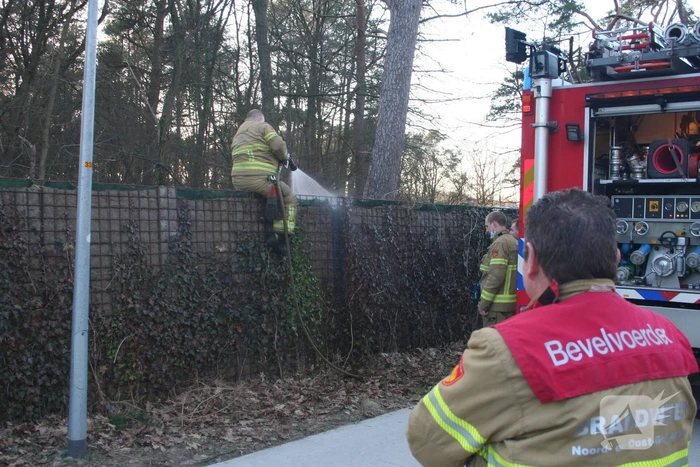Natuurlijke afrastering vliegt in brand