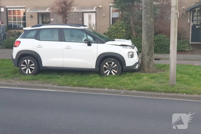 Personenauto komt tot stilstand tegen boom
