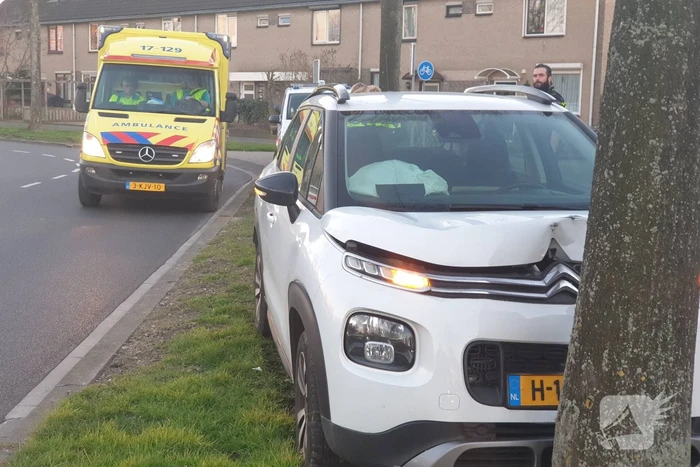 Personenauto komt tot stilstand tegen boom