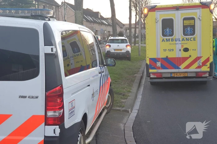 Personenauto komt tot stilstand tegen boom