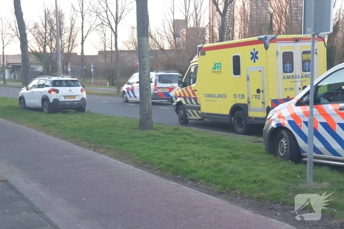 Personenauto komt tot stilstand tegen boom