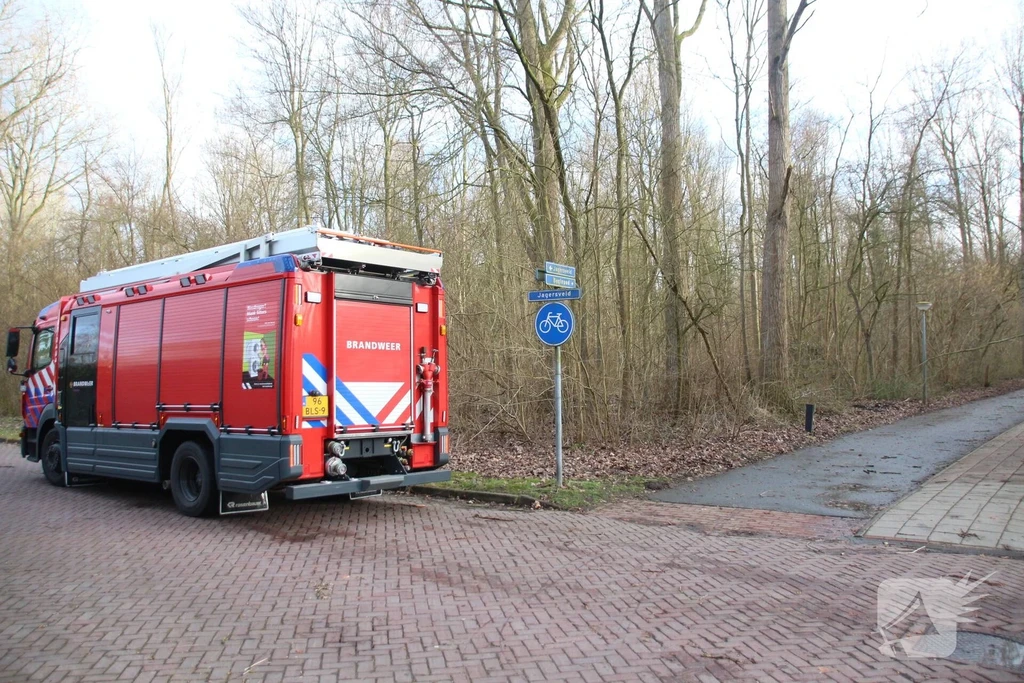 Beginpad Nieuws Lelystad 