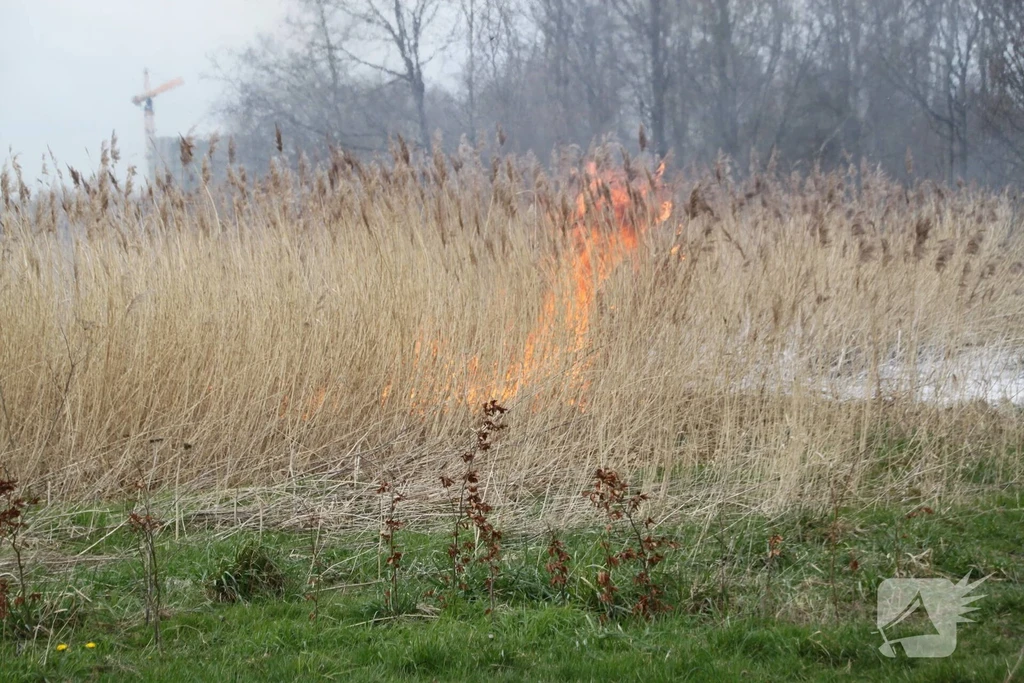Meridiaanpad Nieuws Almere 