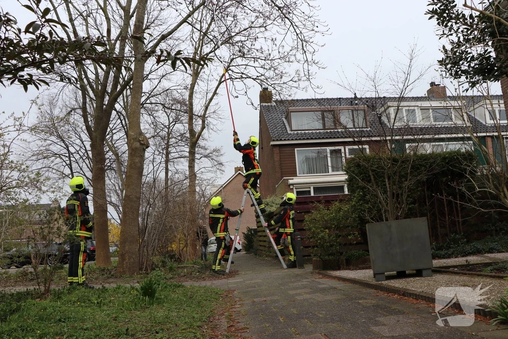 Oltmansdreef 112 nieuws Leiderdorp 