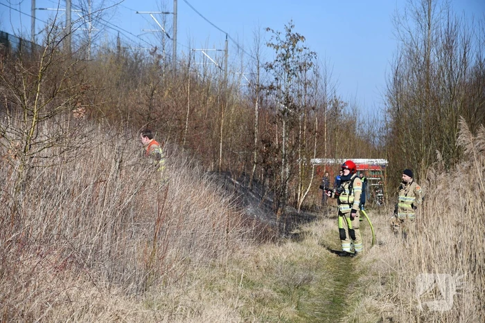 Enorm stuk riet langs spoor in brand