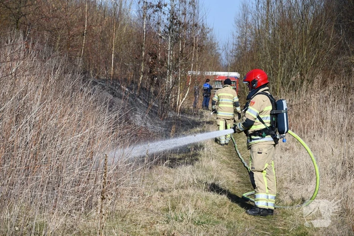 Enorm stuk riet langs spoor in brand