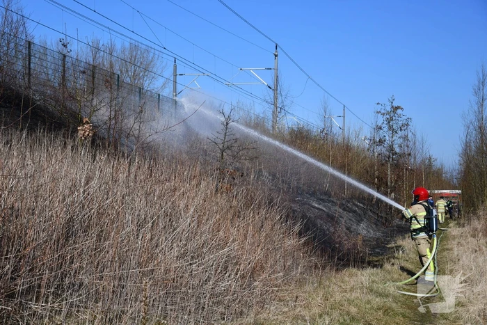 Enorm stuk riet langs spoor in brand