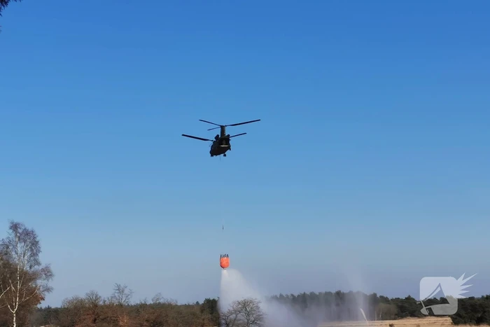 Chinook-transporthelikopter oefent boven Ginkelse Heide