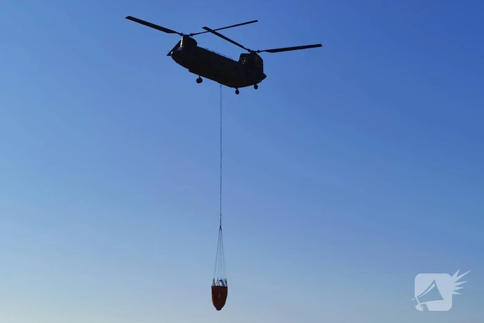 Chinook-transporthelikopter oefent boven Ginkelse Heide