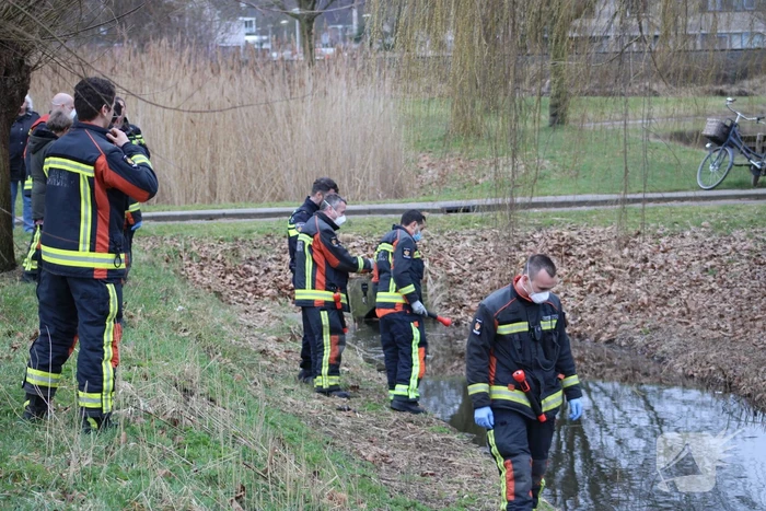 Zoektocht naar mogelijk een persoon te water