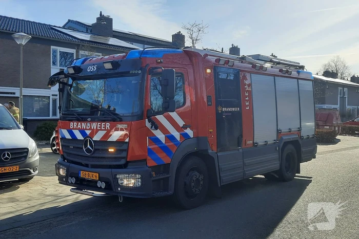 nieuws angoralaan oss