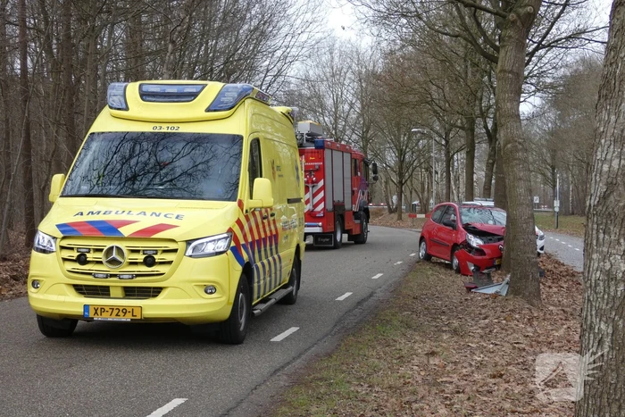 Persoon gewond bij botsing tegen boom