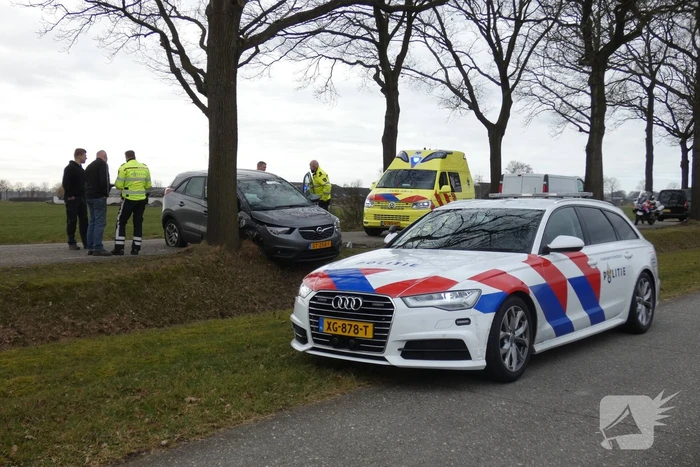 Auto tegen boom na uitwijkmanoeuvre