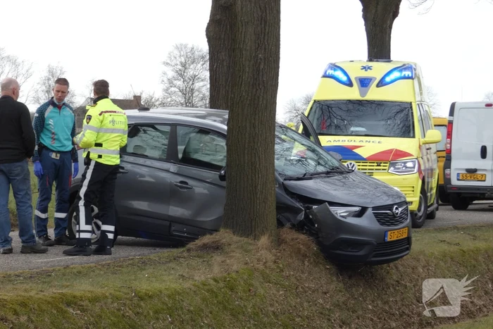 Auto tegen boom na uitwijkmanoeuvre