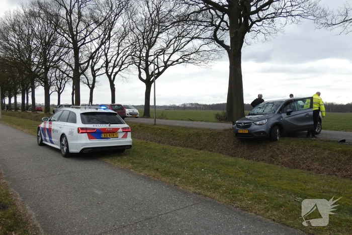 Auto tegen boom na uitwijkmanoeuvre