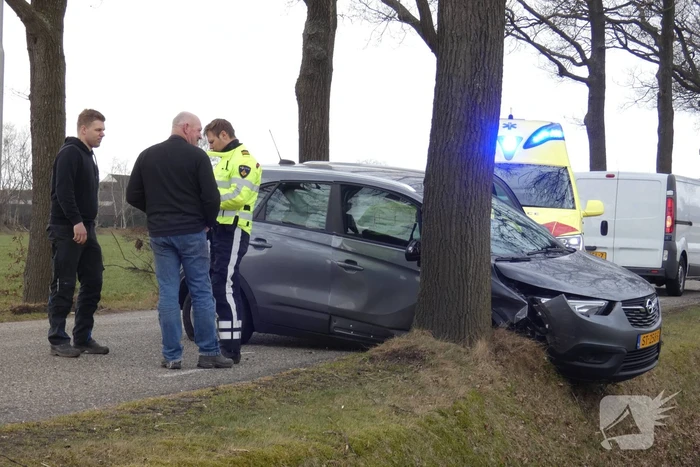 Auto tegen boom na uitwijkmanoeuvre