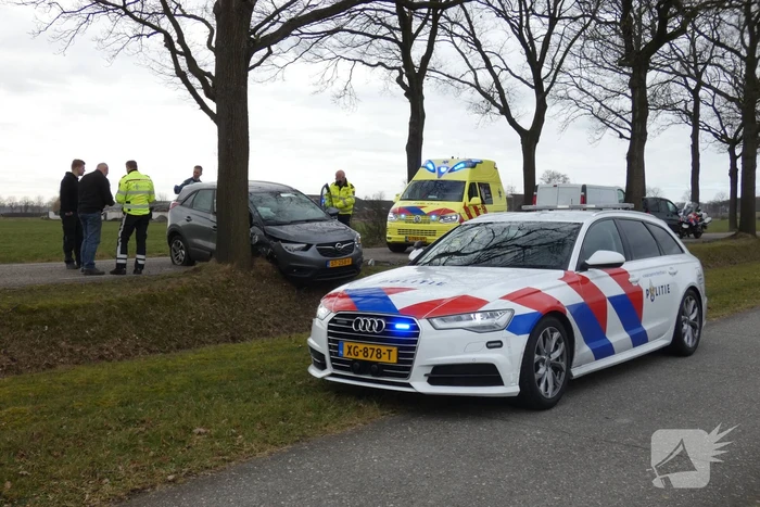Auto tegen boom na uitwijkmanoeuvre