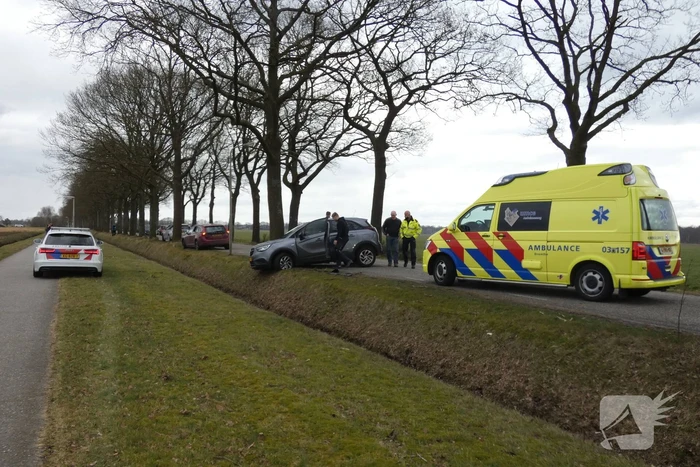Auto tegen boom na uitwijkmanoeuvre