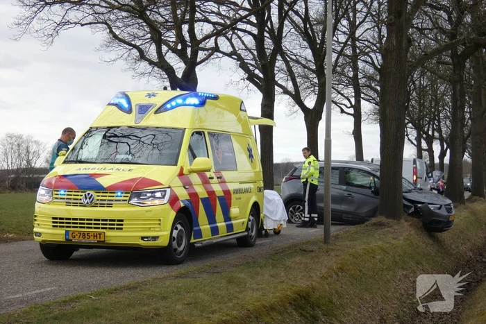 Auto tegen boom na uitwijkmanoeuvre