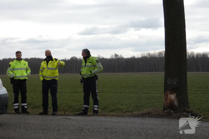 Auto tegen boom na uitwijkmanoeuvre