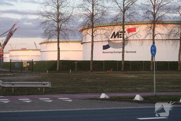 nieuws moezelweg europoort rotterdam