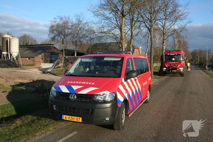 Varkens zakken door roostervloer en belanden in gierkelder