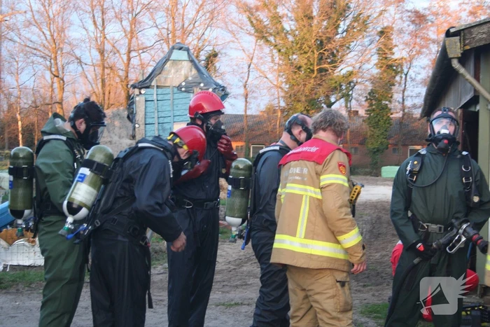 Varkens zakken door roostervloer en belanden in gierkelder