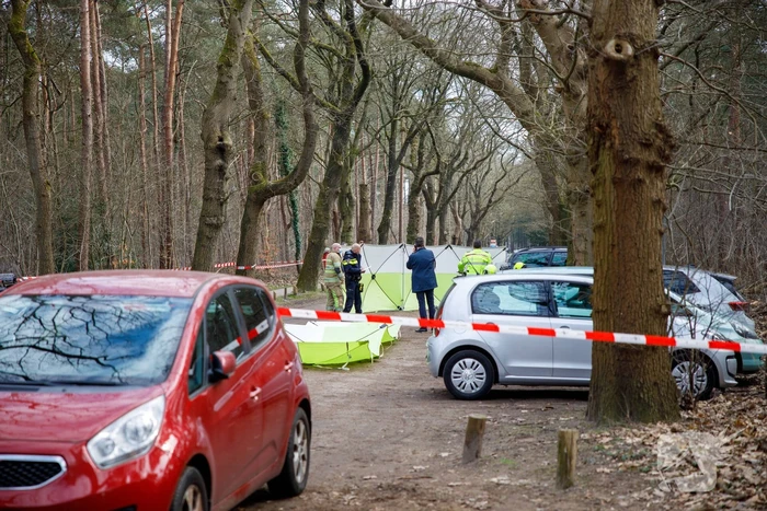 Foetus van jonger dan 24 weken gevonden in natuurgebied Heidestein