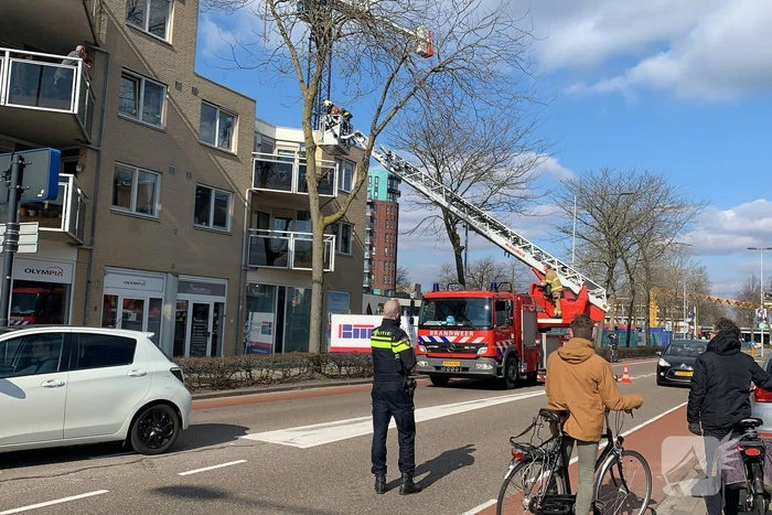 nieuws kastanjeweg uden