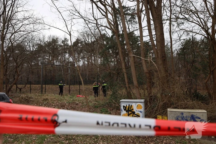 Geen treinen na aanrijding op spoor