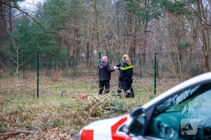 Geen treinen na aanrijding op spoor
