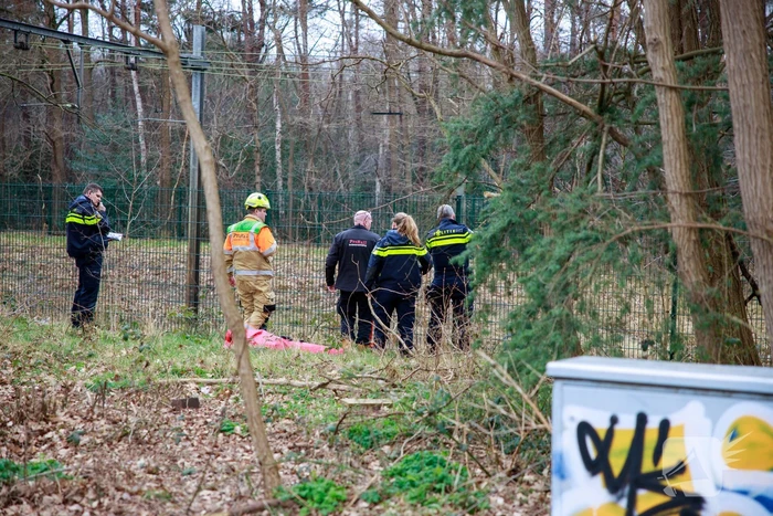 Geen treinen na aanrijding op spoor