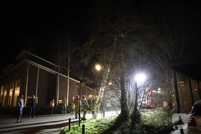 Brandweer redt kat uit boom