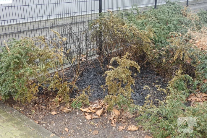 Buitenbrand door medewerkers bedrijf geblust