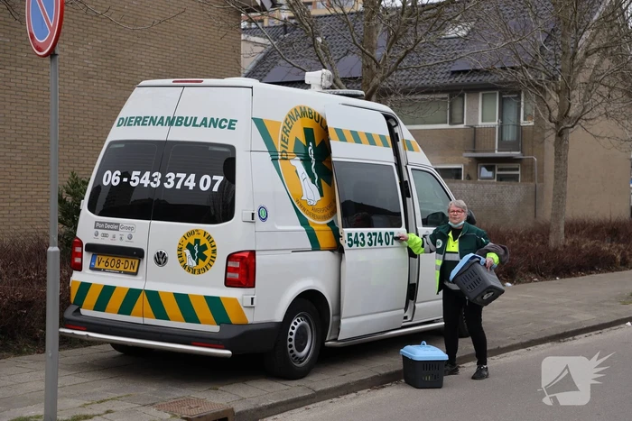 Zwaarbewapende agenten bij woning in Schuilenburg