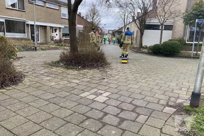 nieuws botter barendrecht