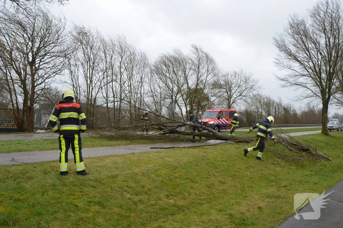 Omgewaaide boom blokkeert weg