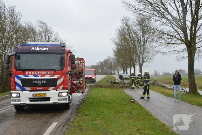 Omgewaaide boom blokkeert weg