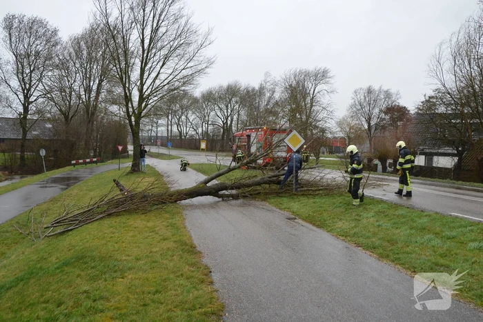 Omgewaaide boom blokkeert weg