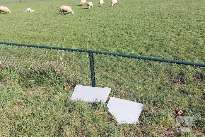 Reclamezuil bushokje waait aan diggelen