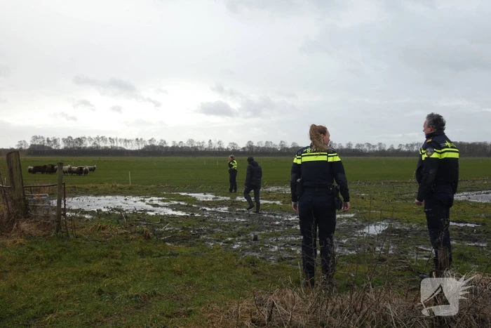 Kudde schapen breken los door omgewaaid hekwerk