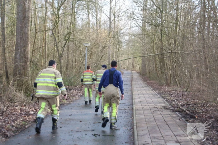 Gevaarlijk hangende tak over fietspad verwijderd