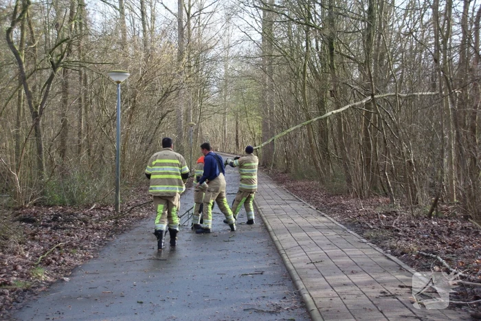 Gevaarlijk hangende tak over fietspad verwijderd
