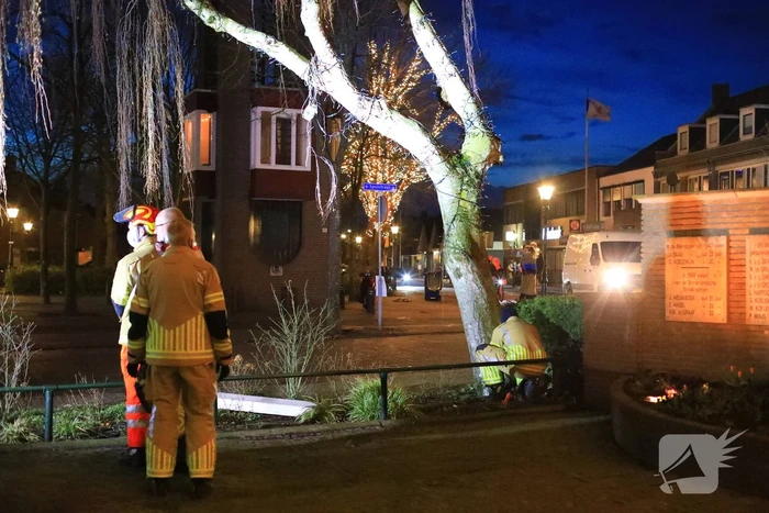 Instabiele boom omgezaagd door brandweer