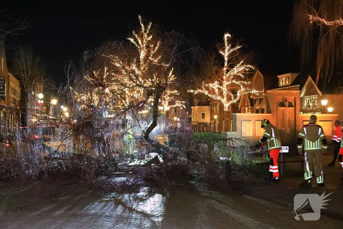 Instabiele boom omgezaagd door brandweer
