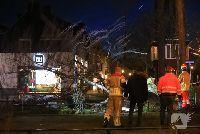 Instabiele boom omgezaagd door brandweer
