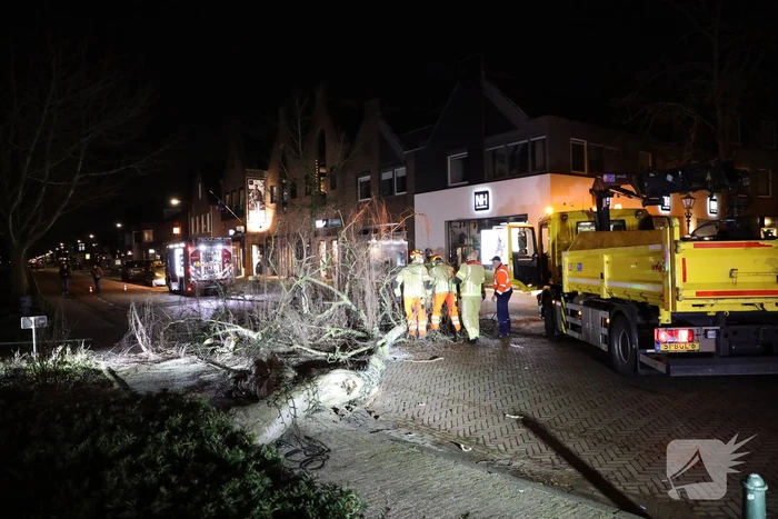 Instabiele boom omgezaagd door brandweer